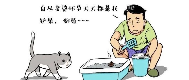 孕妇与猫咪到底能不能共处一屋？