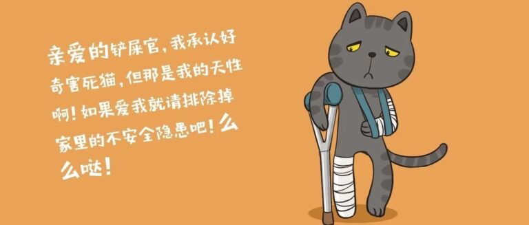 我的猫坠楼了，要看医生吗？