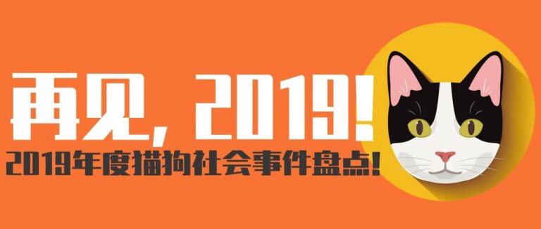 2019年度猫狗社会事件盘点！