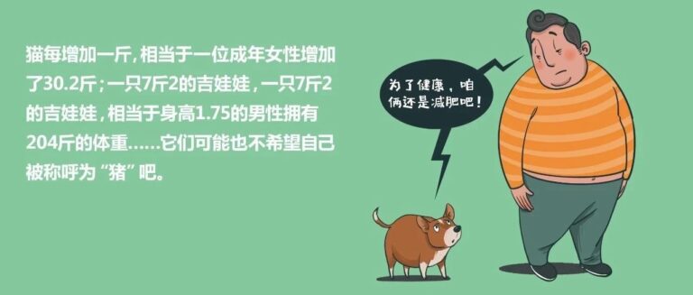 别再让肥胖成为可爱的代价……